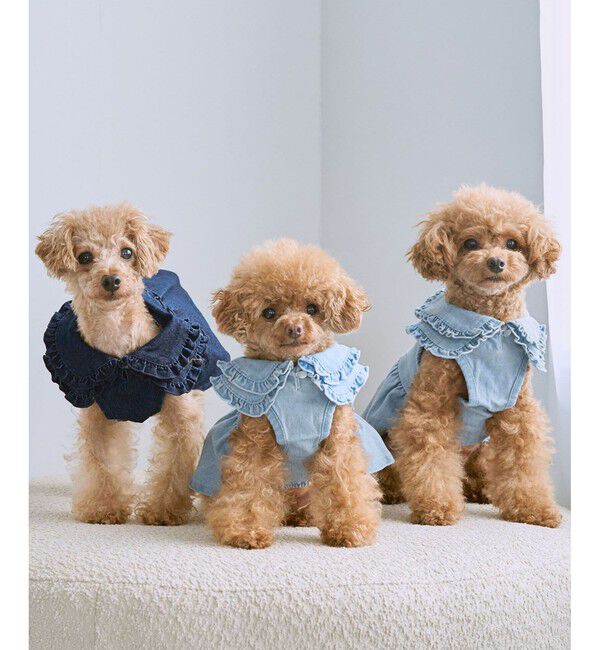 ROPE PICNIC PASSAGE「【DOG】襟付きデニムワンピース」|その他|