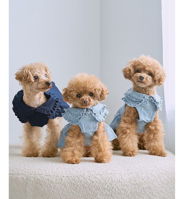 ROPE PICNIC PASSAGE「【DOG】襟付きデニムワンピース」|その他|