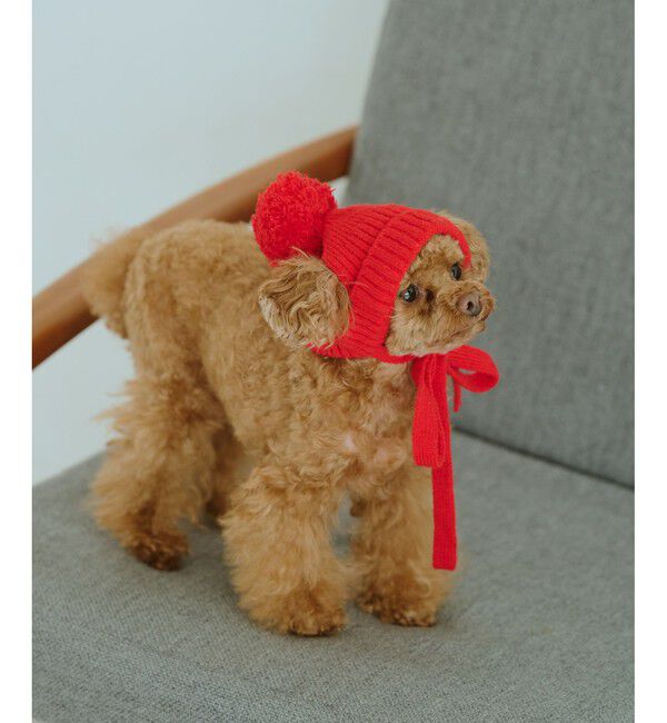 ROPE PICNIC PASSAGE「【DOG】リブ切り替えニットワッチ」|その他|