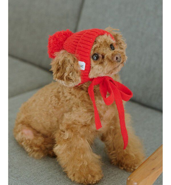 ROPE PICNIC PASSAGE「【DOG】リブ切り替えニットワッチ」|その他|