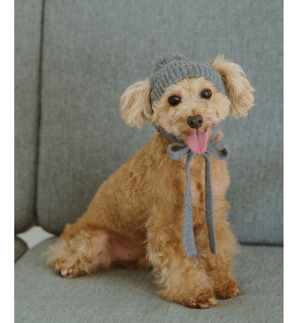 ROPE PICNIC PASSAGE「【DOG】リブ切り替えニットワッチ」|その他|