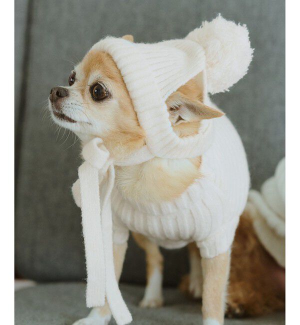 ROPE PICNIC PASSAGE「【DOG】リブ切り替えニットワッチ」|その他|