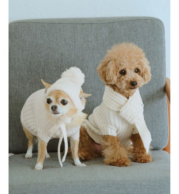 ROPE PICNIC PASSAGE「【DOG】リブ切り替えニットワッチ」|その他|