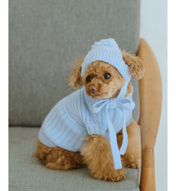 ROPE PICNIC PASSAGE「【DOG】リブ切り替えニットワッチ」|その他|