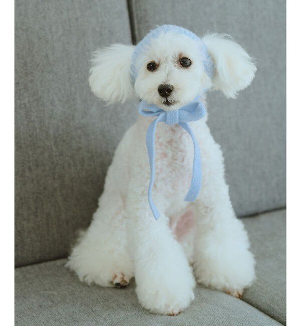 ROPE PICNIC PASSAGE「【DOG】リブ切り替えニットワッチ」|その他|