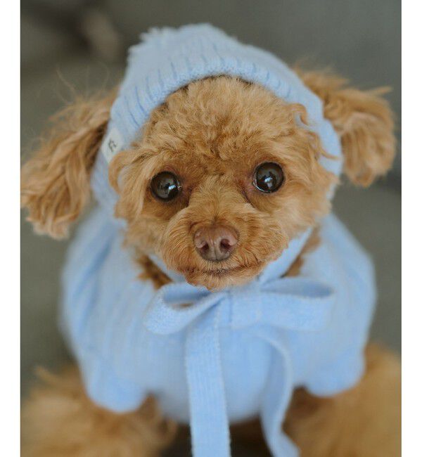 ROPE PICNIC PASSAGE「【DOG】リブ切り替えニットワッチ」|その他|サックス(48)