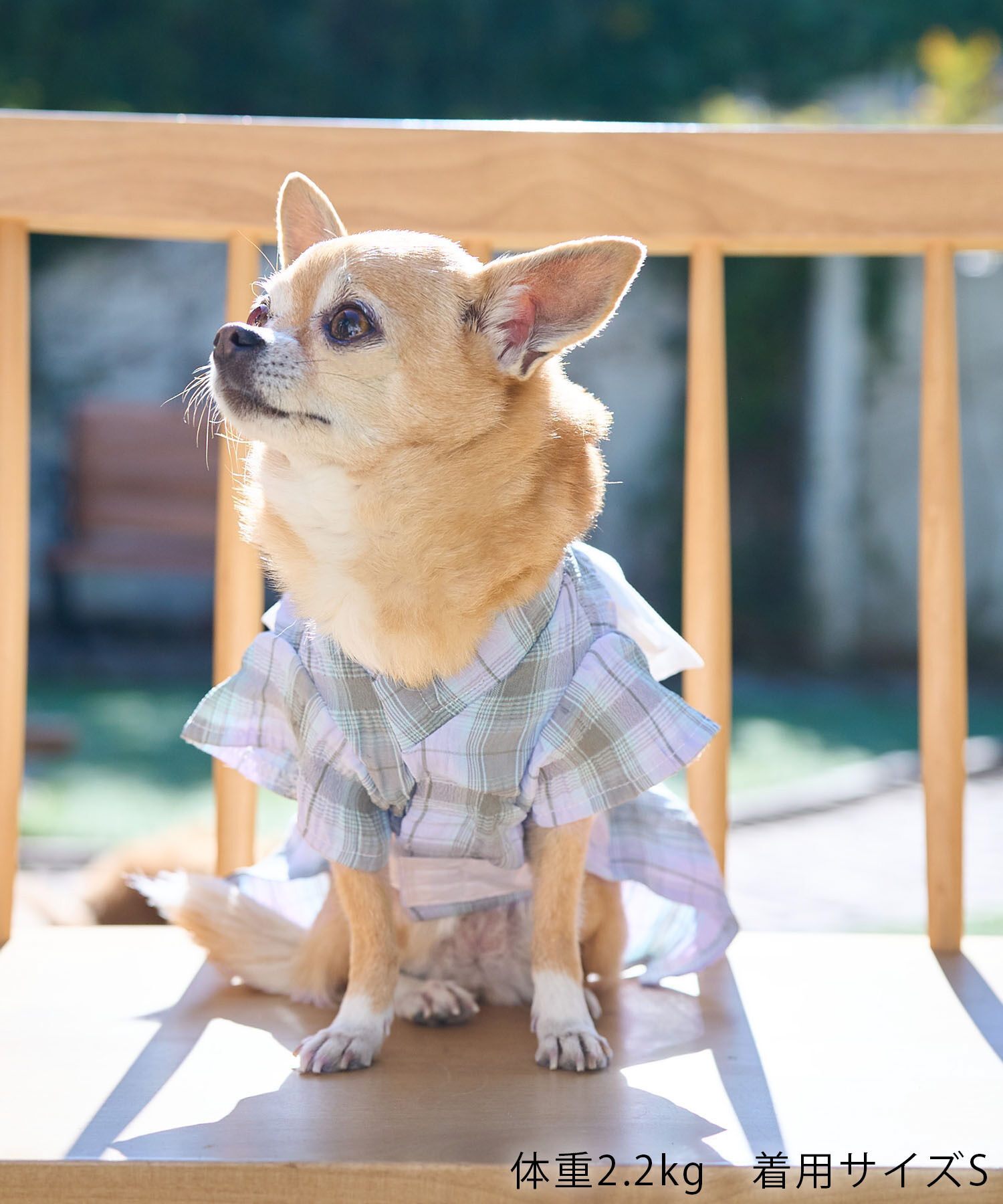 ROPE PICNIC PASSAGE「【DOG】チェック柄浴衣」|その他|
