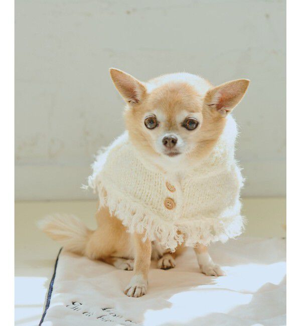 ROPE PICNIC PASSAGE「【DOG】ニットポンチョ」|その他|