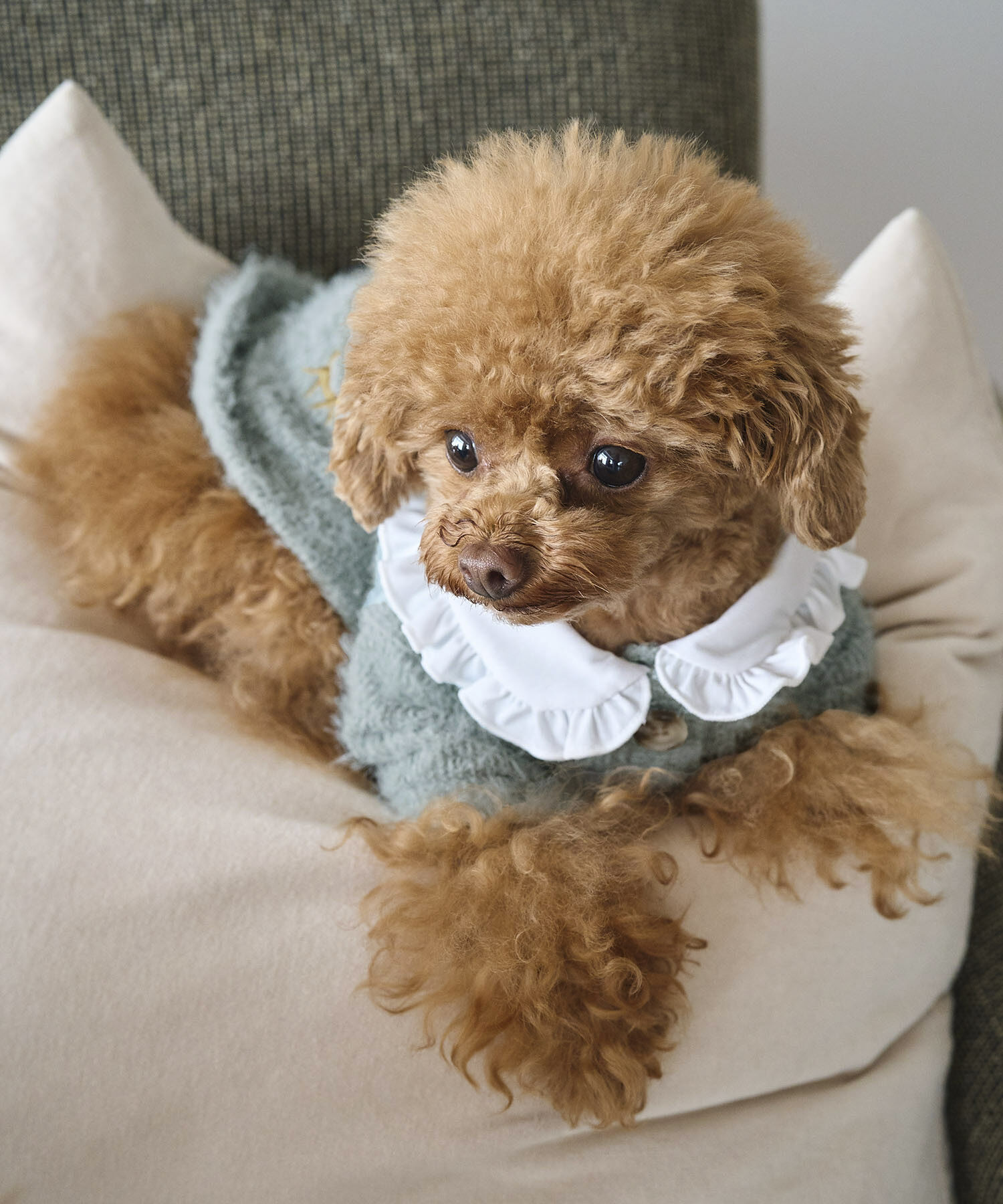 ROPE PICNIC PASSAGE「【DOG】ビックカラーカーディガン」|その他|