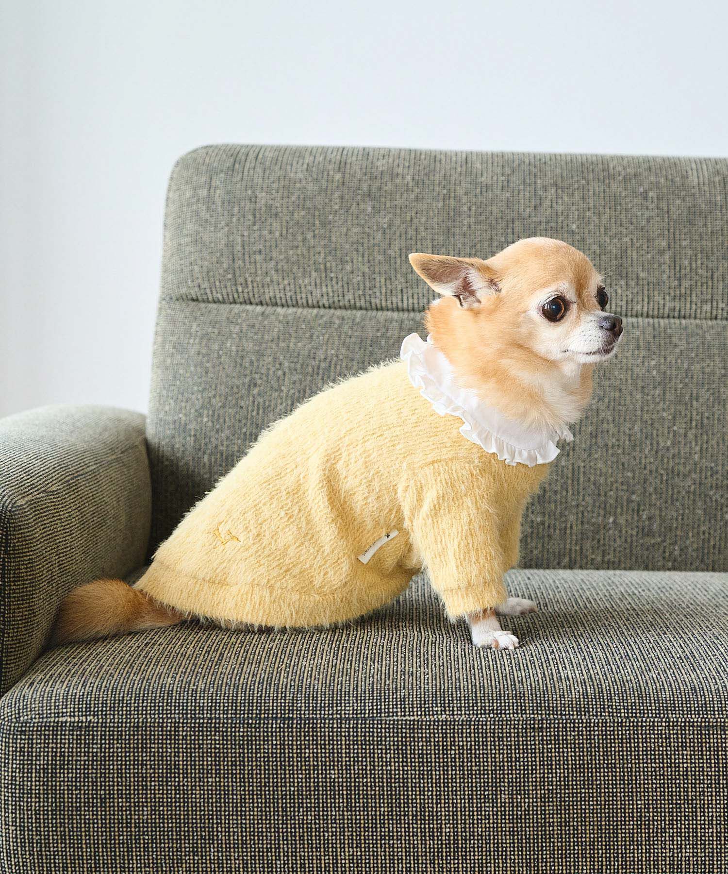 ROPE PICNIC PASSAGE「【DOG】ビックカラーカーディガン」|その他|