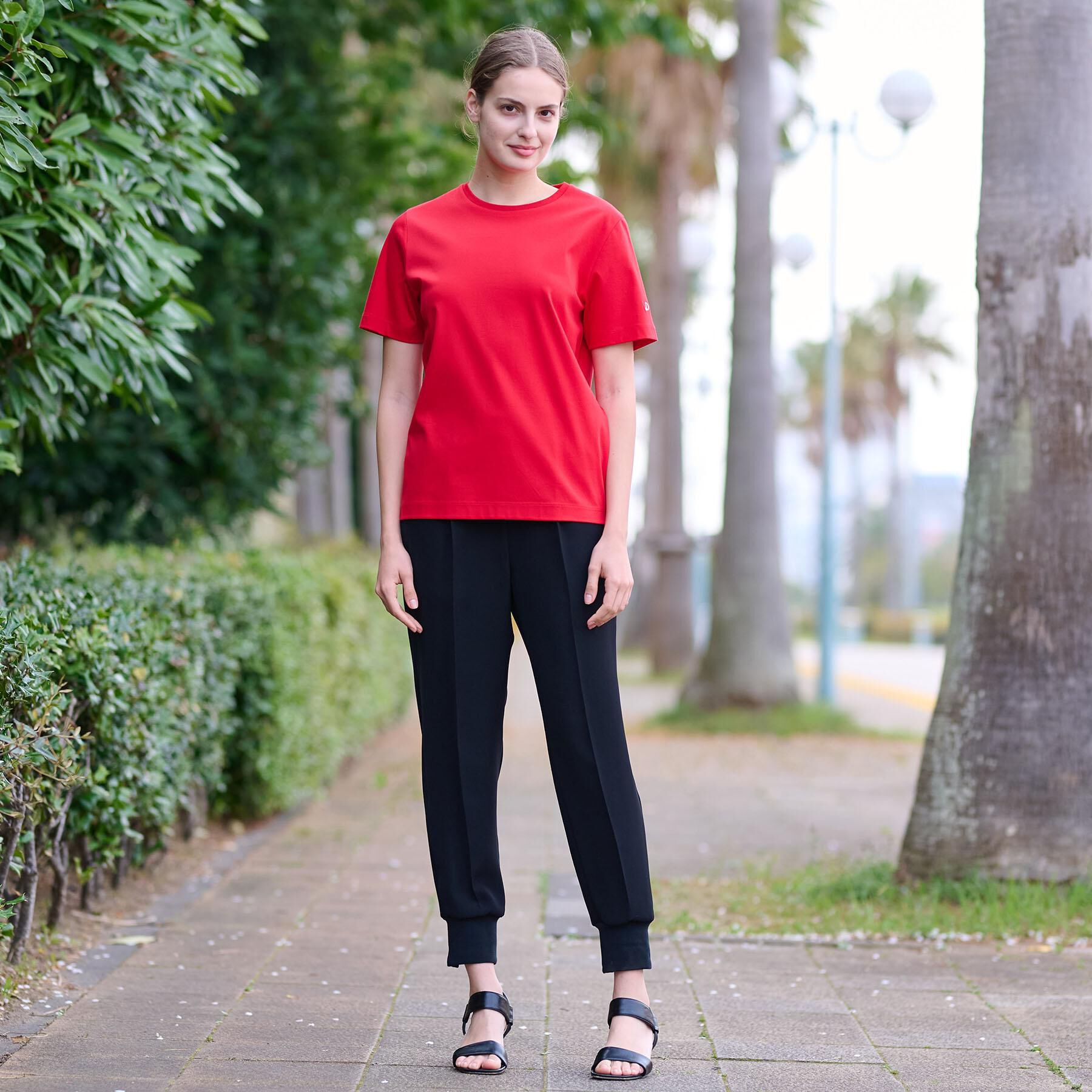 DRESSTERIOR「【接触冷感/抗菌防臭/消臭】アイスクリアコットンTシャツ」|Tシャツ・カットソー|