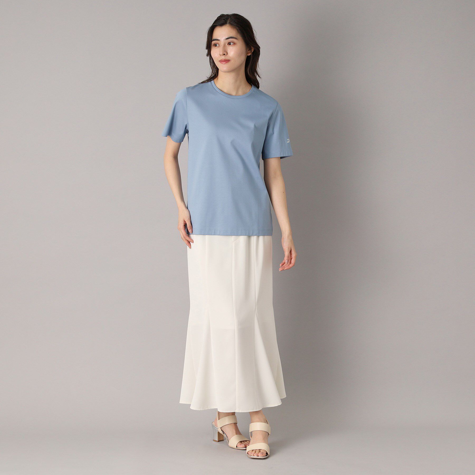 DRESSTERIOR「【接触冷感/抗菌防臭/消臭】アイスクリアコットンTシャツ」|Tシャツ・カットソー|