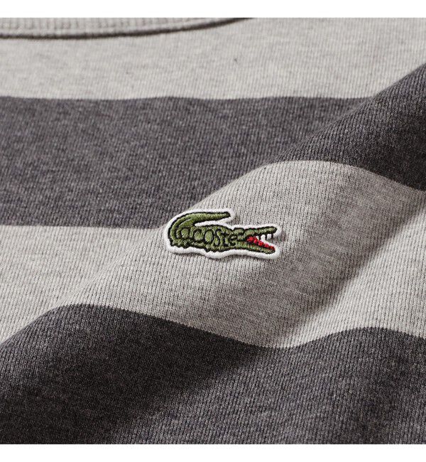 BEAMSBOY「【WEB限定】【別注】LACOSTE / ボーダー ショートスリーブ Tシャツ」|Tシャツ・カットソー|