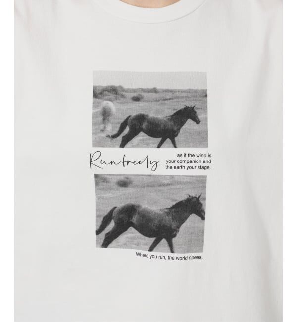 FRAMeWORK「ホースフォトロングTシャツ」|Tシャツ・カットソー|