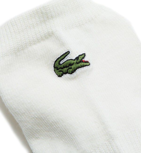 LACOSTE「ロゴパイルスニカー丈ソックス」|ソックス|