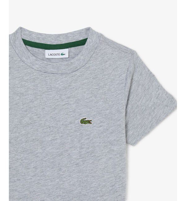 LACOSTE「【EC only】JUNIORベーシックワニロゴパッチ 半袖Tシャツ」|Tシャツ・カットソー|