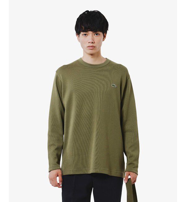 LACOSTE「ヘビーウェイトシングルジャージ長袖Tシャツ」|Tシャツ・カットソー|オリーブ