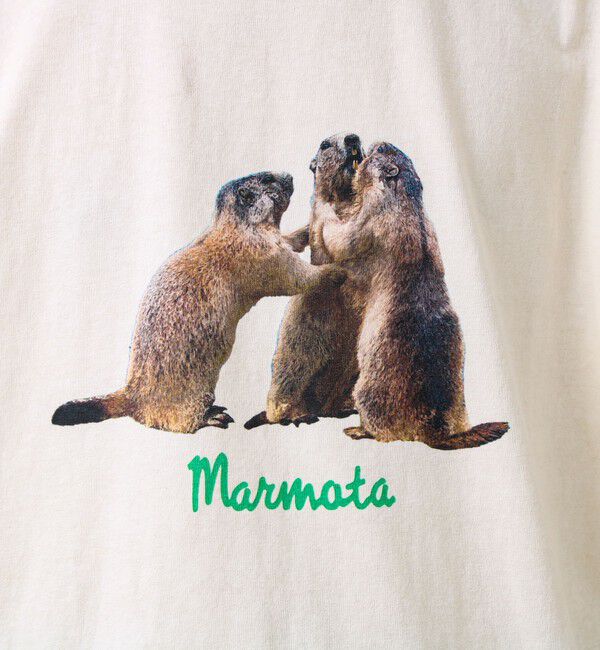 GLOSTER「【大人も着やすい】リアルアニマル プリントTシャツ」|Tシャツ・カットソー|