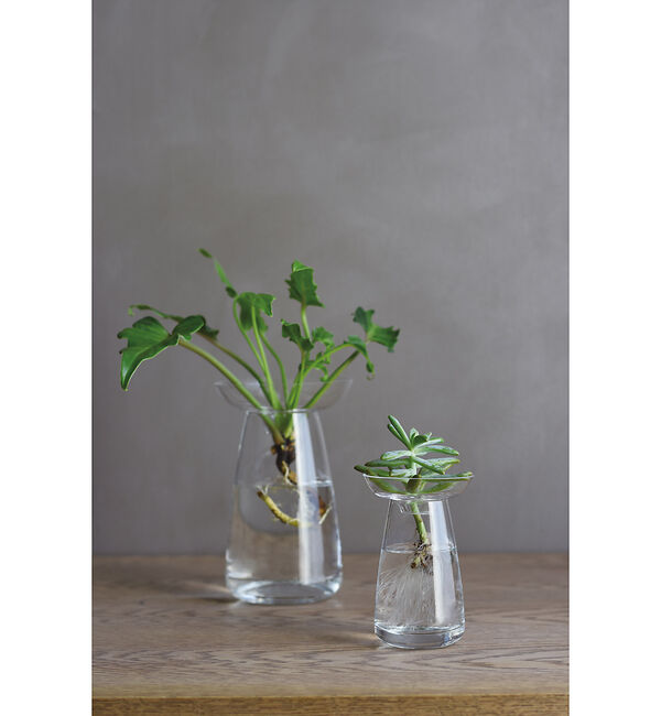 collex「【KINTO /キントー】アクアカルチャーベース120」|フラワーベース|