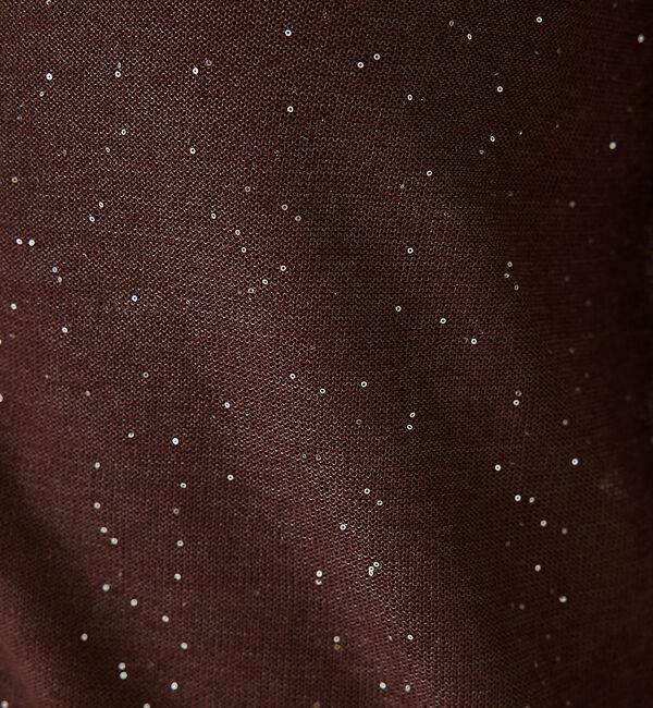 abahouse mavie「【アンサンブル対応】スパンコールシアーニットシャツ」|ニット・セーター|