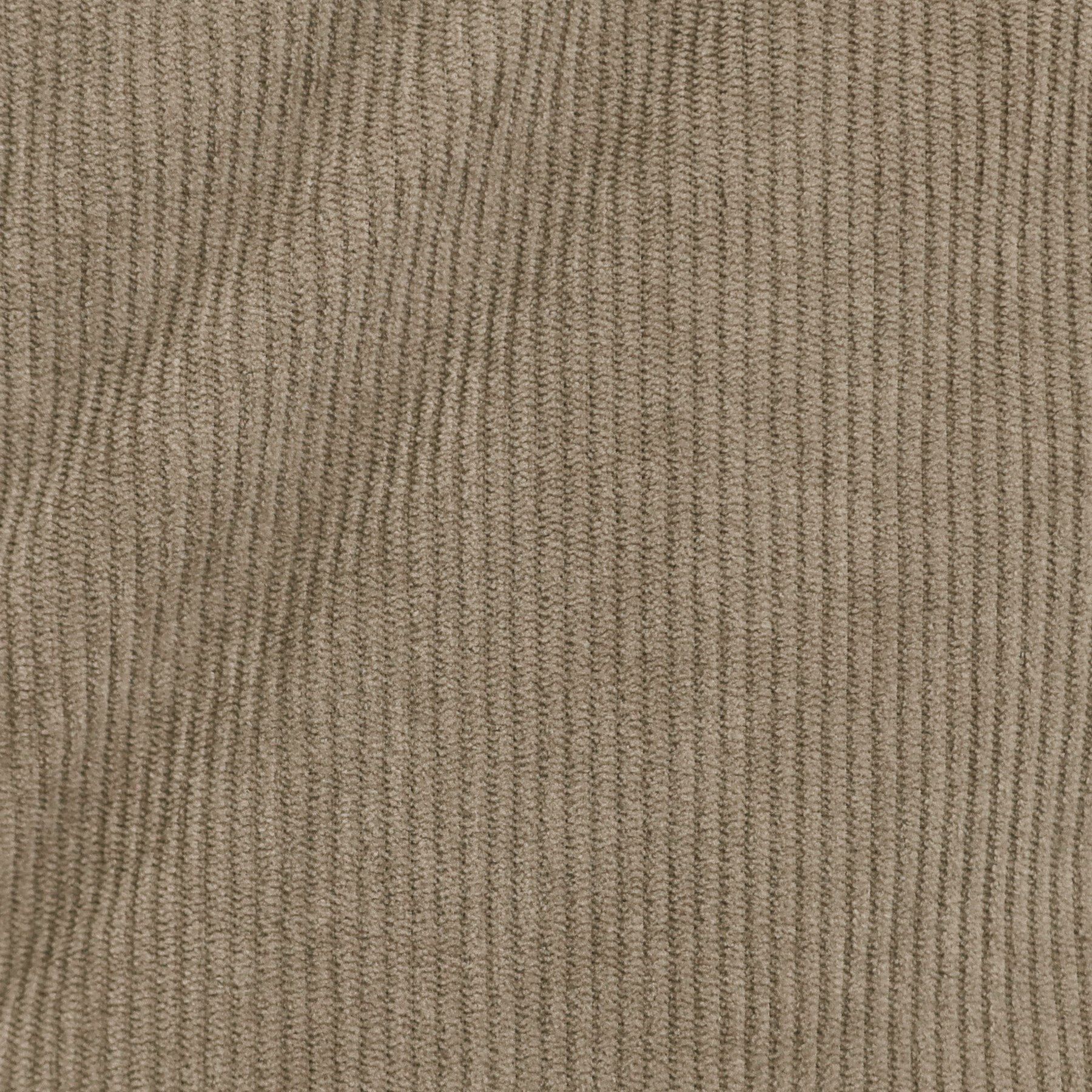 tk.TAKEO KIKUCHI「中綿スタンドコーデュロイブルゾン」|ブルゾン・スタジャン|