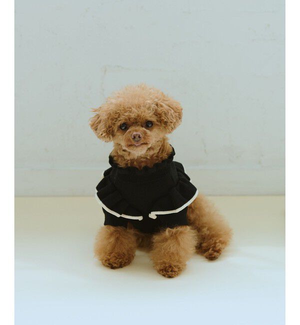 ROPE PICNIC PASSAGE「【DOG】マシュマロフリルニット/リンクコーデ」|その他|