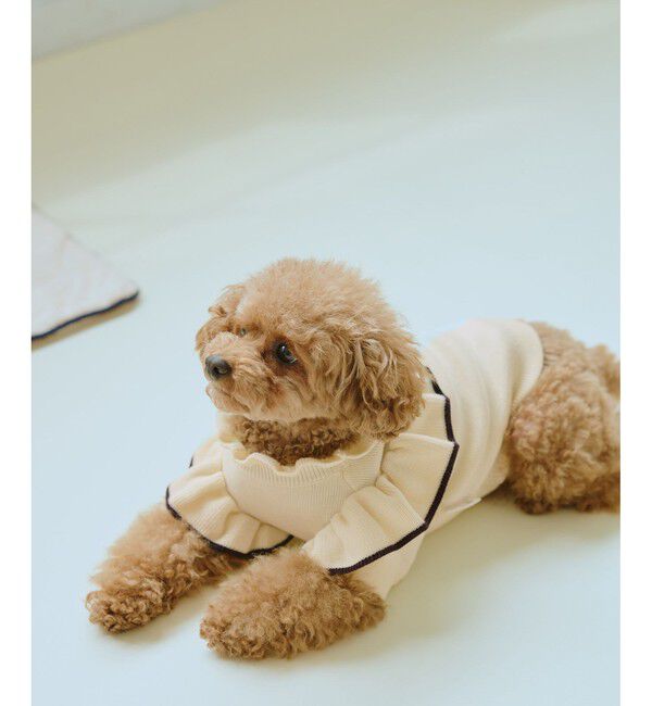 ROPE PICNIC PASSAGE「【DOG】マシュマロフリルニット/リンクコーデ」|その他|