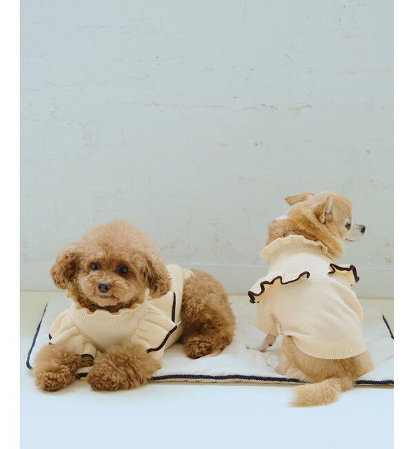 ROPE PICNIC PASSAGE「【DOG】マシュマロフリルニット/リンクコーデ」|その他|