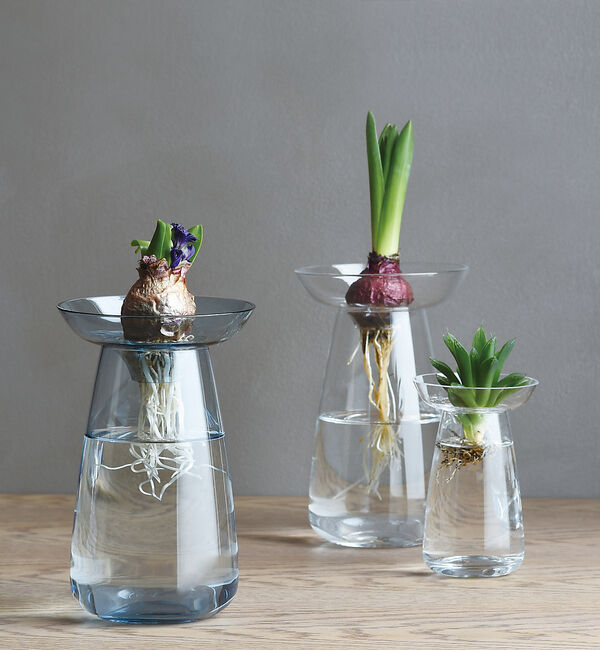 collex「【KINTO /キントー】アクアカルチャーベース120」|フラワーベース|