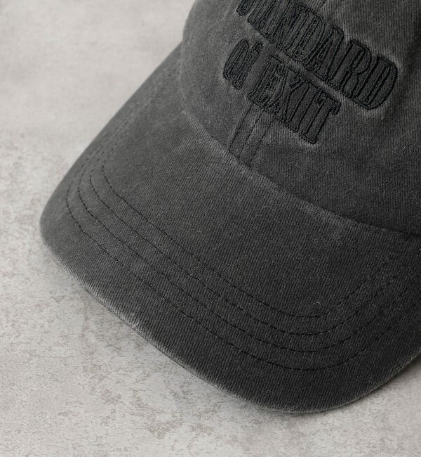 abahouse mavie「【CTFK/コントロールフリーク】ピグメントロゴキャップ」|その他|