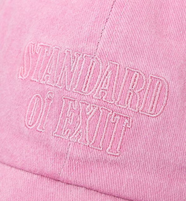 abahouse mavie「【CTFK/コントロールフリーク】ピグメントロゴキャップ」|その他|