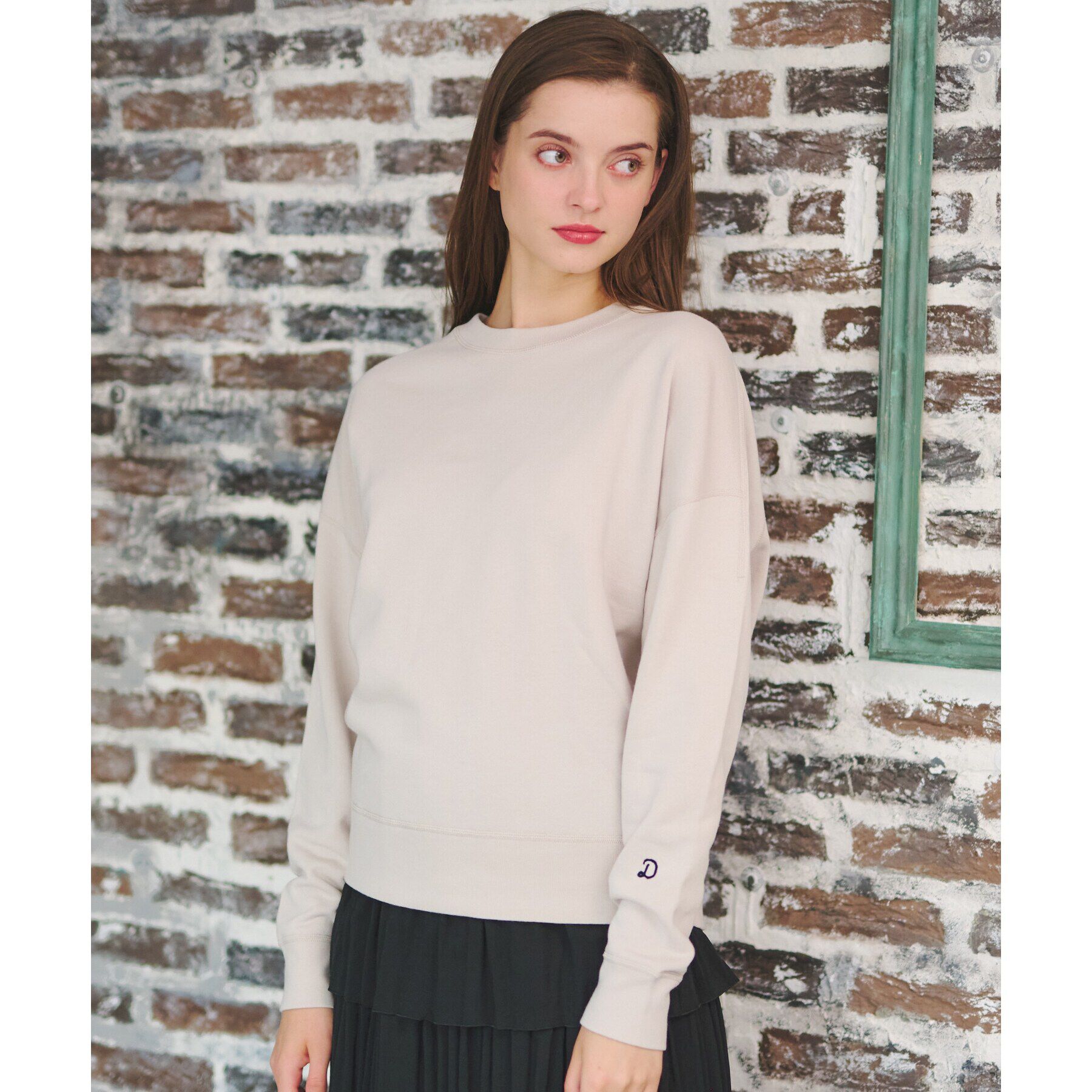 DRESSTERIOR「サスティナブルウラケコットンプルオーバー」|パーカー|