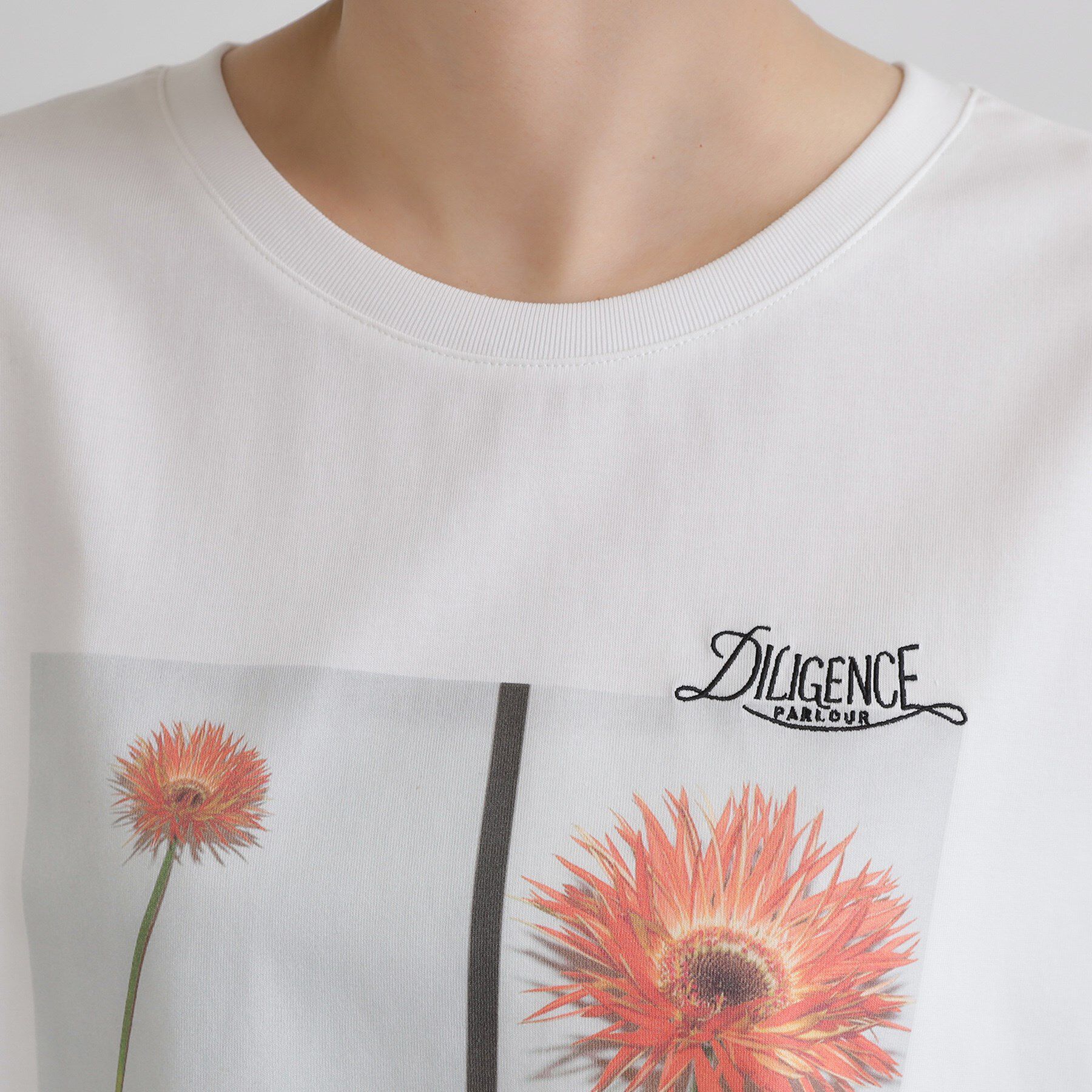 grove「【コラボITEM】DILIGENCE PARLOUR フォトフレアTシャツ」|Tシャツ・カットソー|