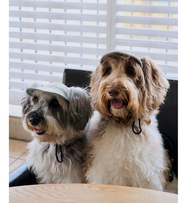 ROPE PICNIC PASSAGE「【DOG】【comif(コミフ)&times;ROPE' PICNIC】シャイニーキャップ/リンクコーデ」|その他|