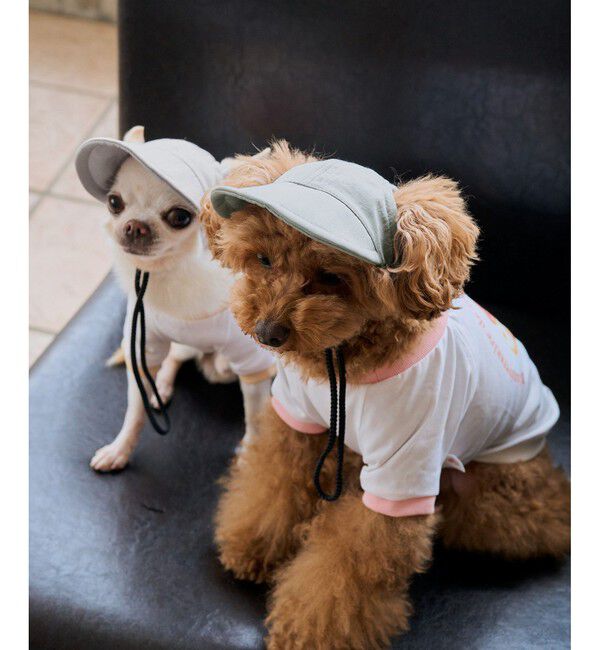 ROPE PICNIC PASSAGE「【DOG】【comif(コミフ)&times;ROPE' PICNIC】シャイニーキャップ/リンクコーデ」|その他|