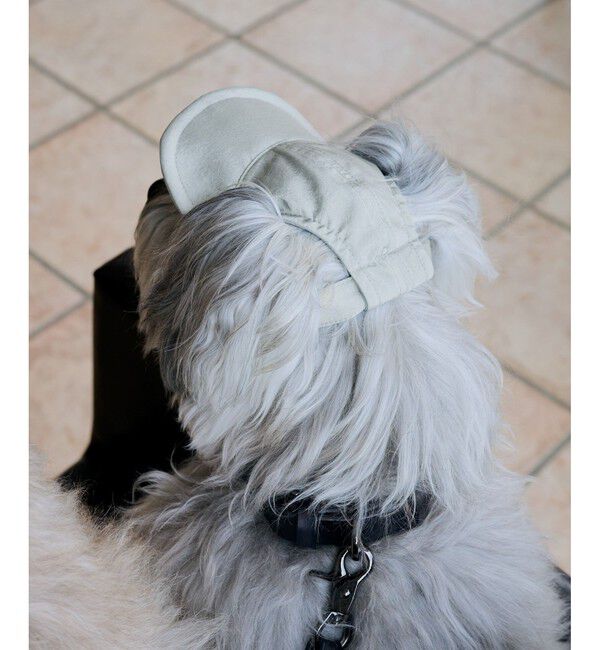 ROPE PICNIC PASSAGE「【DOG】【comif(コミフ)&times;ROPE' PICNIC】シャイニーキャップ/リンクコーデ」|その他|