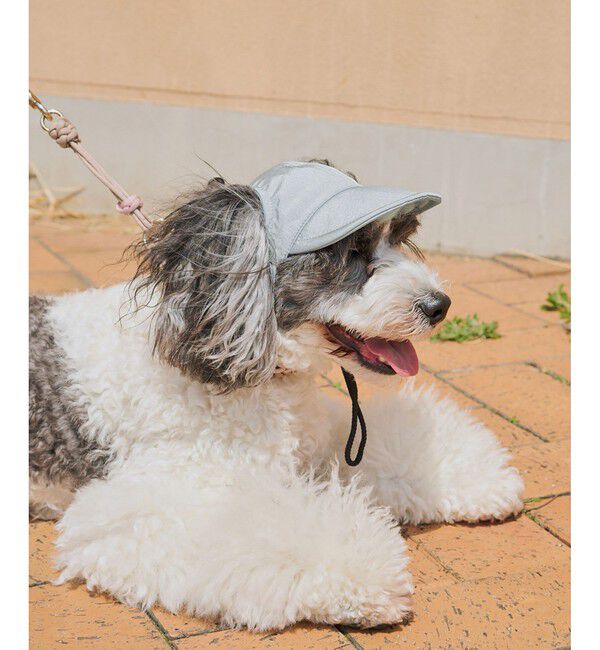 ROPE PICNIC PASSAGE「【DOG】【comif(コミフ)&times;ROPE' PICNIC】シャイニーキャップ/リンクコーデ」|その他|ブルー系(45)
