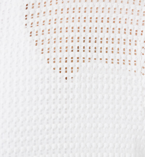 abahouse mavie「メッシュレースプルオーバー」|Tシャツ・カットソー|