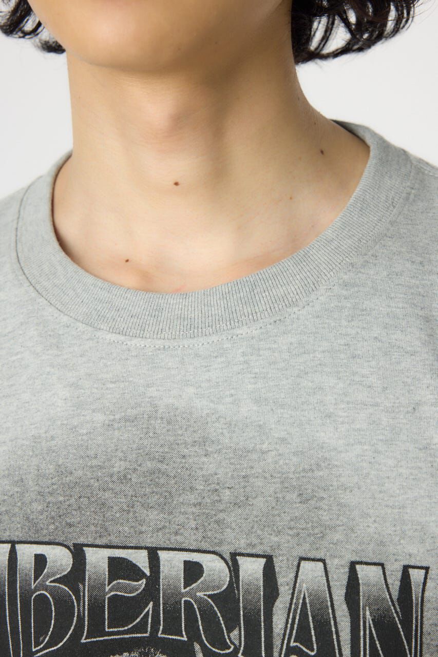 RODEO CROWNS「フェードタイガーTシャツ」|Tシャツ・カットソー|