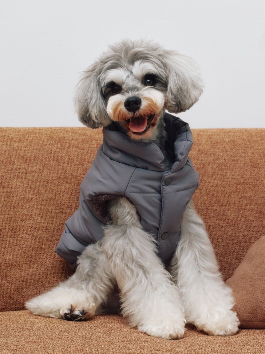  GELATO PIQUE CAT&DOG「【CAT&DOG】XL・XXLサイズ中綿ベスト」|その他|