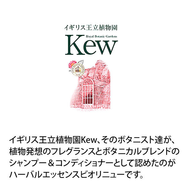  「ハーバルエッセンス ビオリニュー モロッカンオイル コンディショナー コンディショナー本体 (400g)」|コンディショナー・トリートメント|