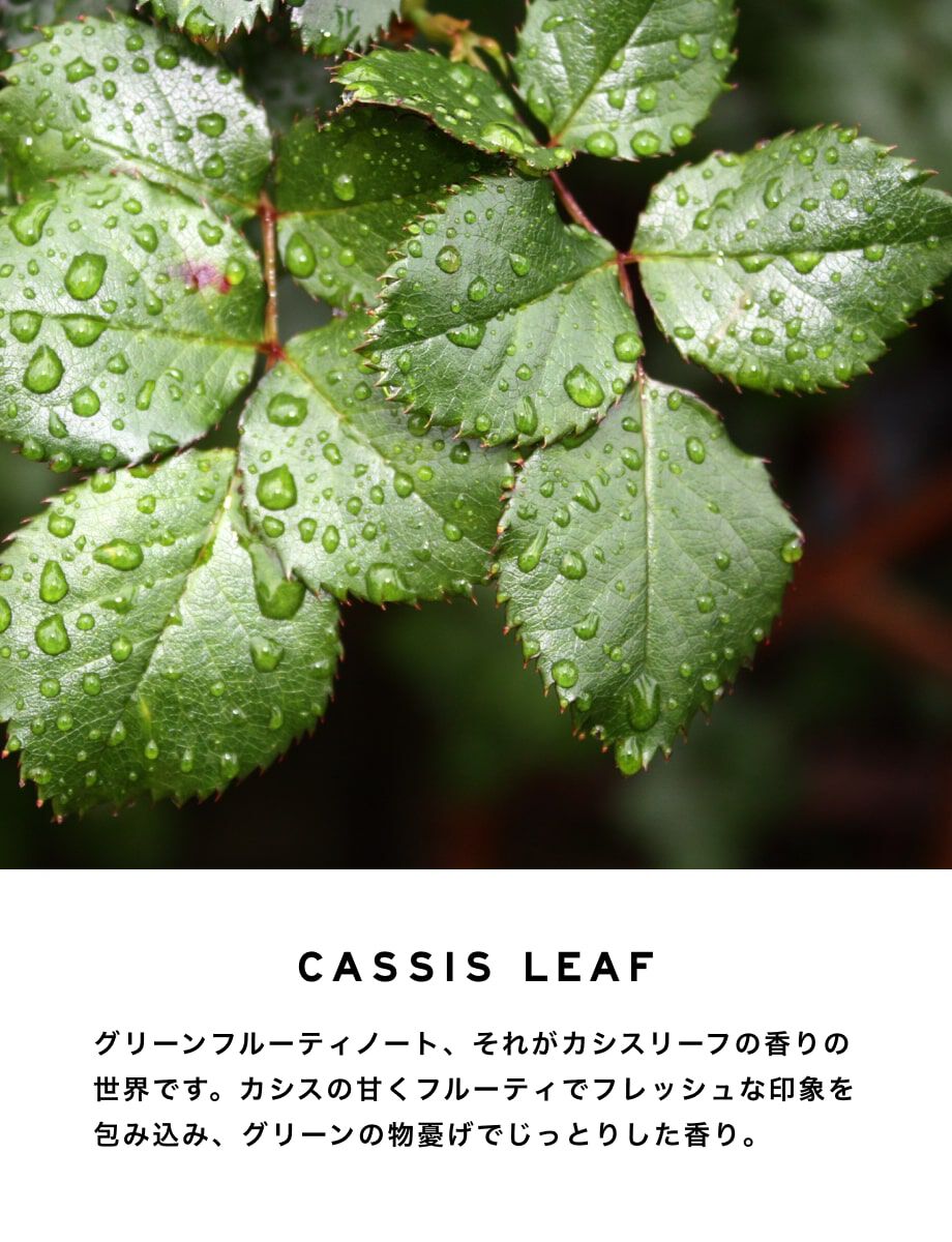 SHOLAYERED「レイヤードフレグランス ディフューザー 100ml」|香水・フレグランス|