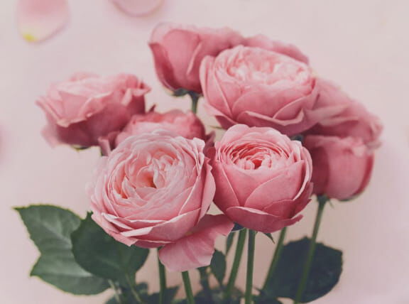 Flora Notis JILL STUART「フローラノーティス ジルスチュアート リペアヘアオイル　50ｍｌ」|美容液・オイル・クリーム|