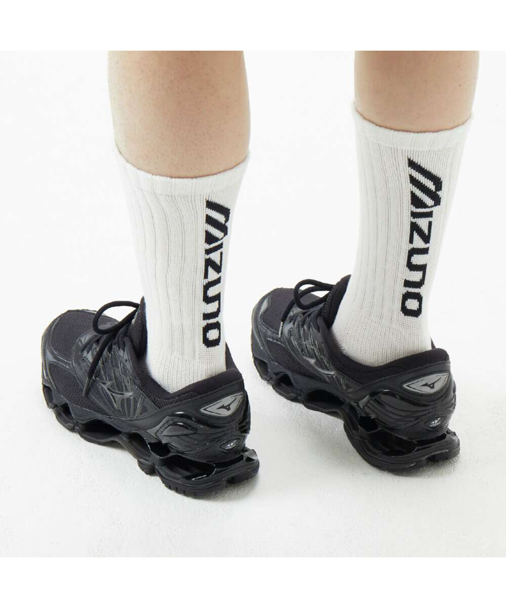 MIZUNO「ドライベクター薄手パイルレギュラーソックス ロゴ」|ソックス|