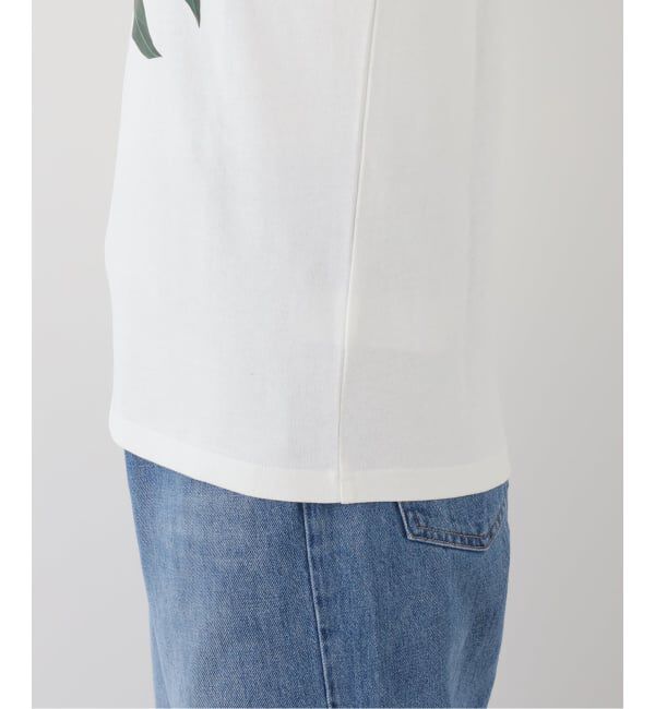  「【洗える】fruit print Tシャツ」|Tシャツ・カットソー|