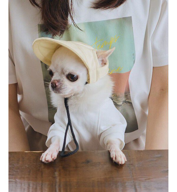 ROPE PICNIC PASSAGE「【DOG】【comif(コミフ)&times;ROPE' PICNIC】シャイニーキャップ/リンクコーデ」|その他|