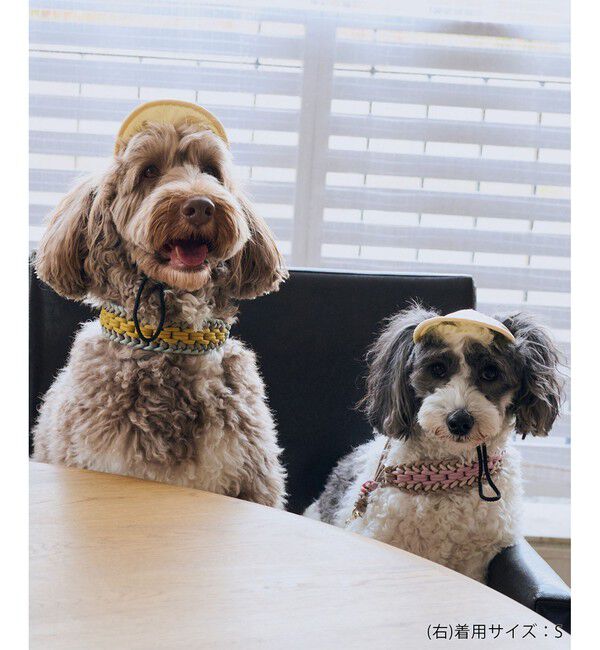 ROPE PICNIC PASSAGE「【DOG】【comif(コミフ)&times;ROPE' PICNIC】シャイニーキャップ/リンクコーデ」|その他|