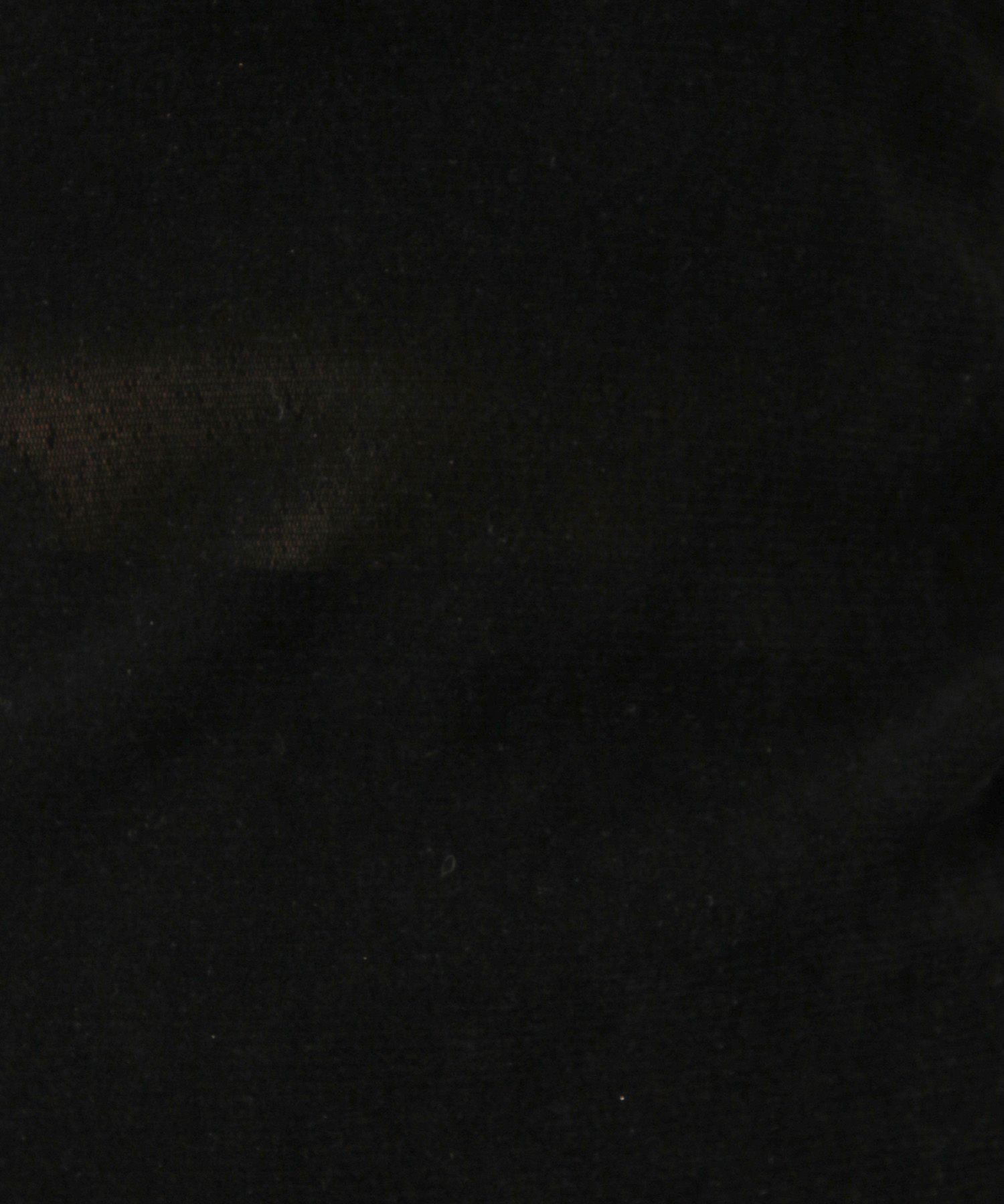 A part by 「新色追加【前後2WAY】シアーベロアカットソー_長袖」|Tシャツ・カットソー|