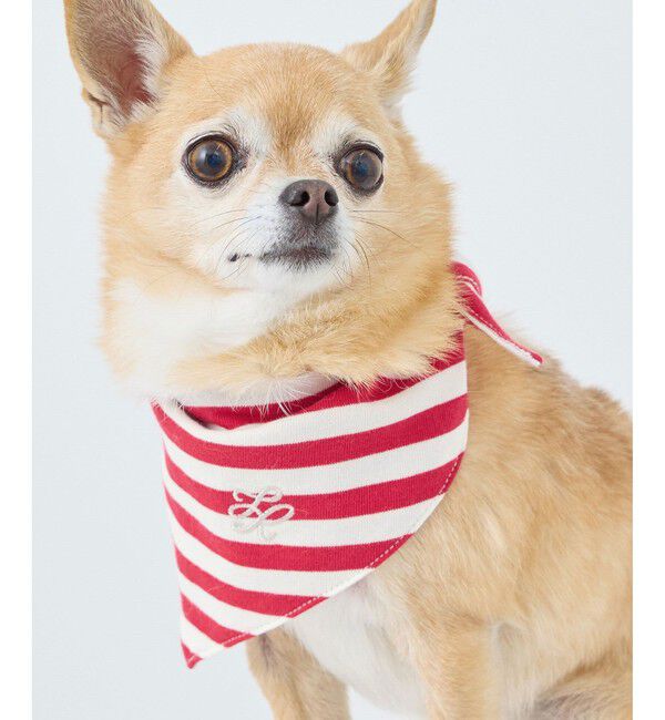 ROPE PICNIC PASSAGE「【DOG】バンダナ スカーフ」|その他|