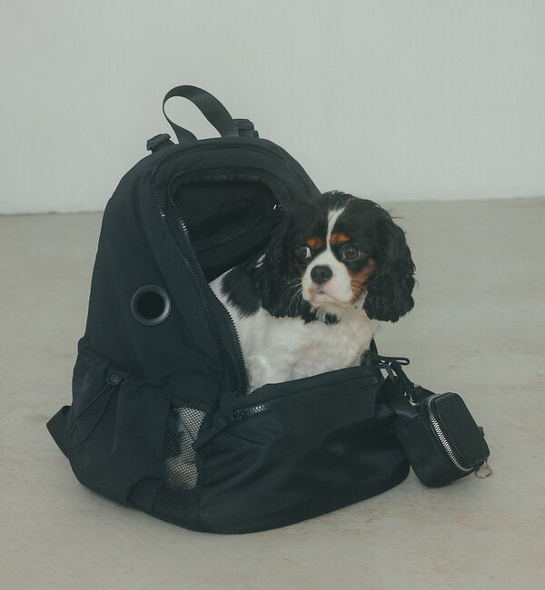 LOWELL things「MATIE/ペットリュックＭ【Direction by  有末 麻祐子】」|その他|